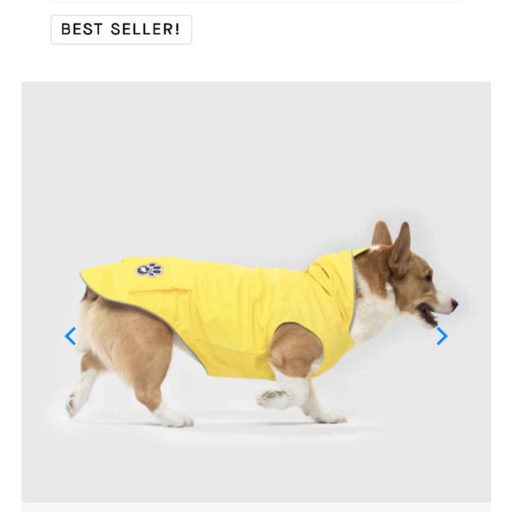 Yellow Dog Raincoat